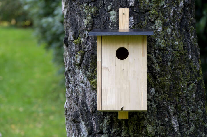 dobar Großer Starenkasten aus Holz